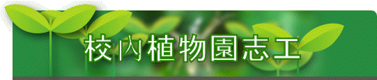 դӪӤu