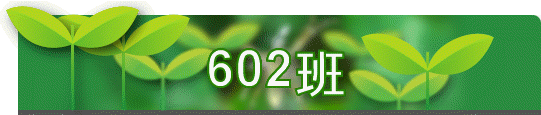 602Z
