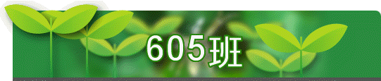 605Z